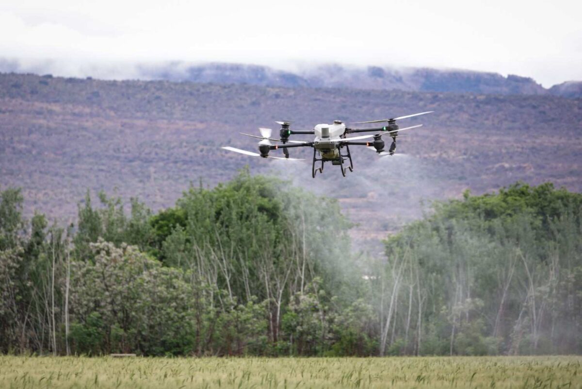  A drone flying over a Nigerian agricultural field or a health worker preparing a drone 
delivery of medical supplies in a rural Nigerian community
