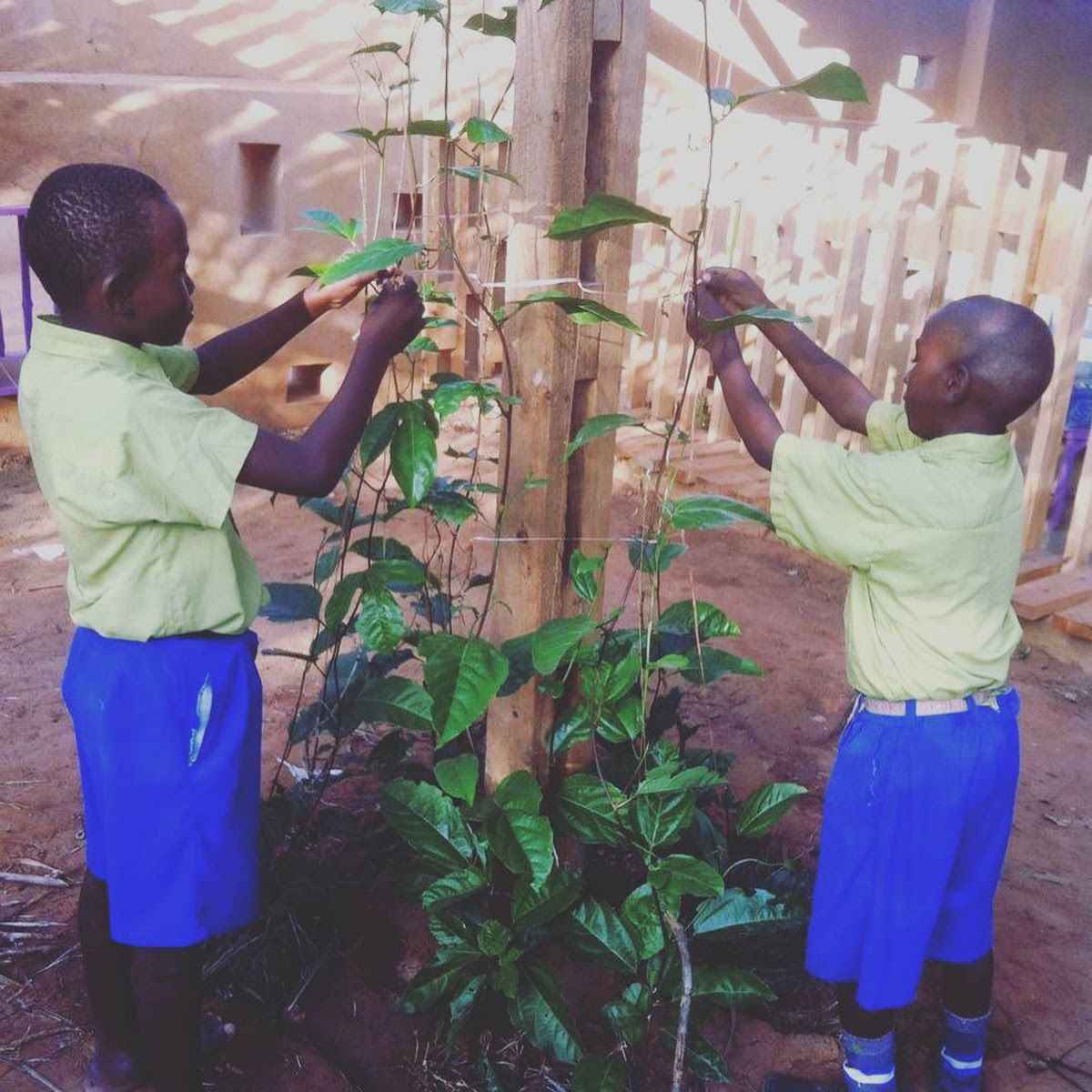  Nigerian primary school children conducting a simple hands-on science experiment at a 
community school science corner